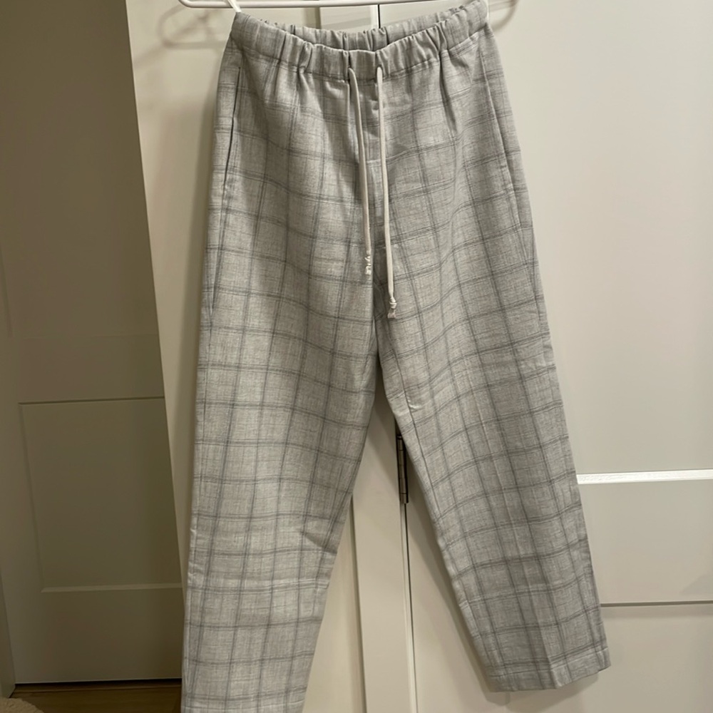 Aritzia Babaton Dress Pants